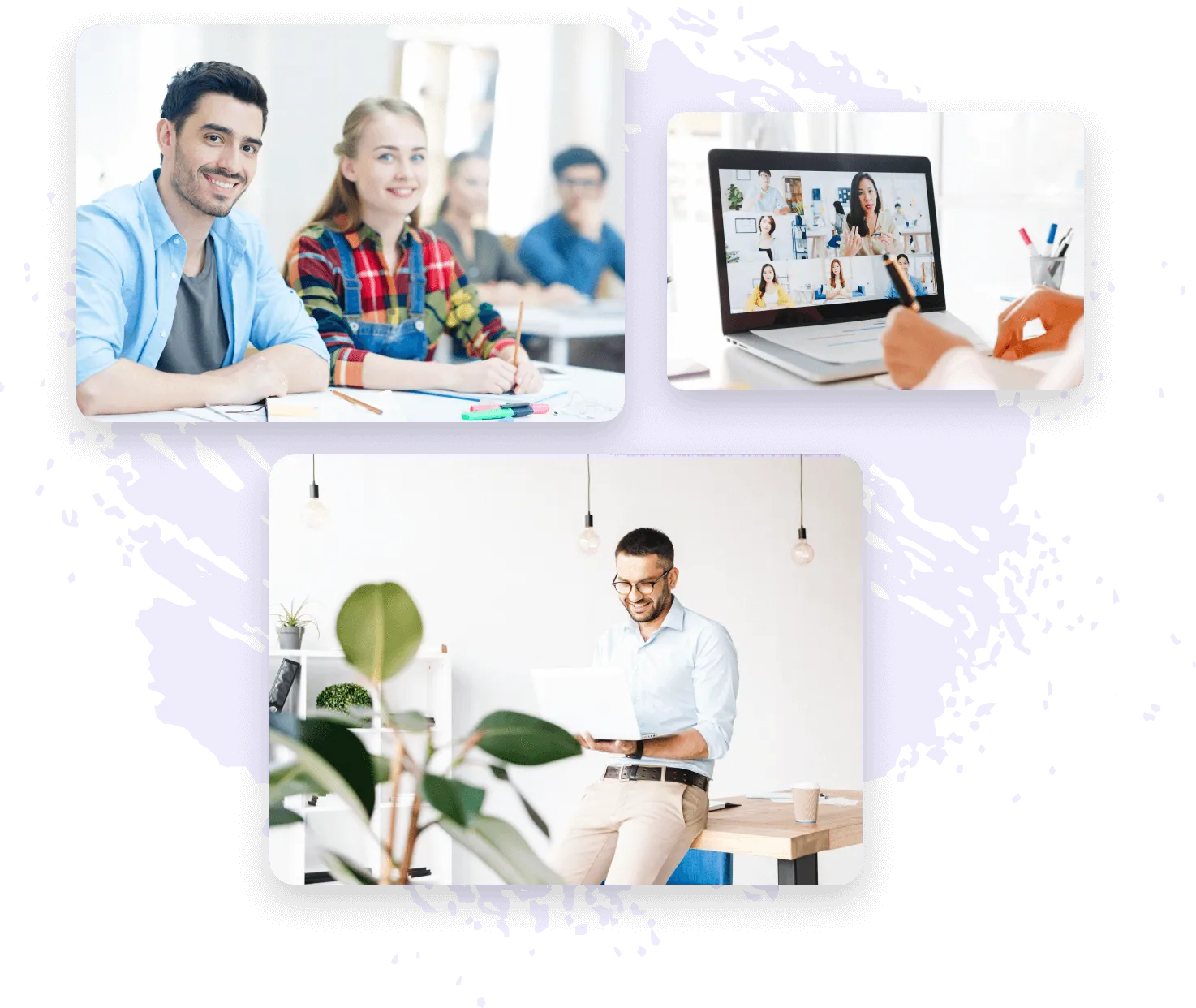 Guided bite-sized lessons